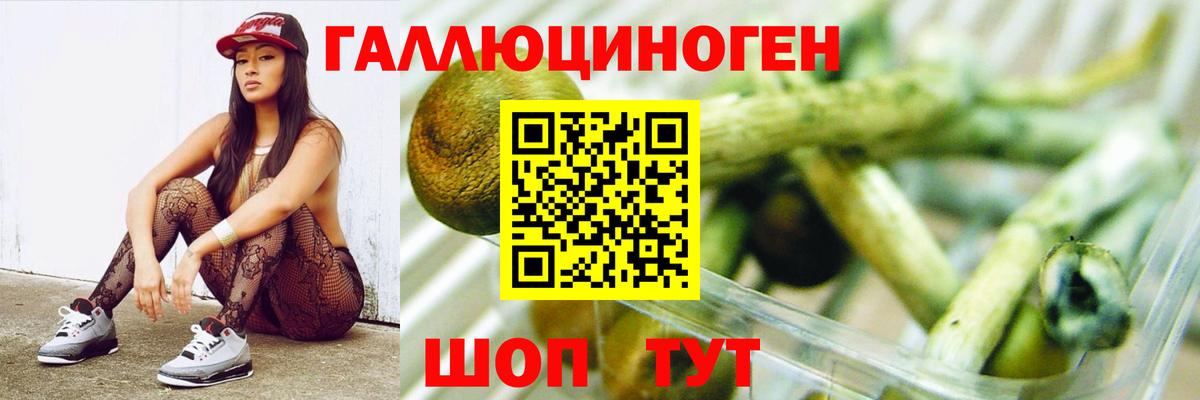 Псилоцибиновые грибы ЛСД Прохладный