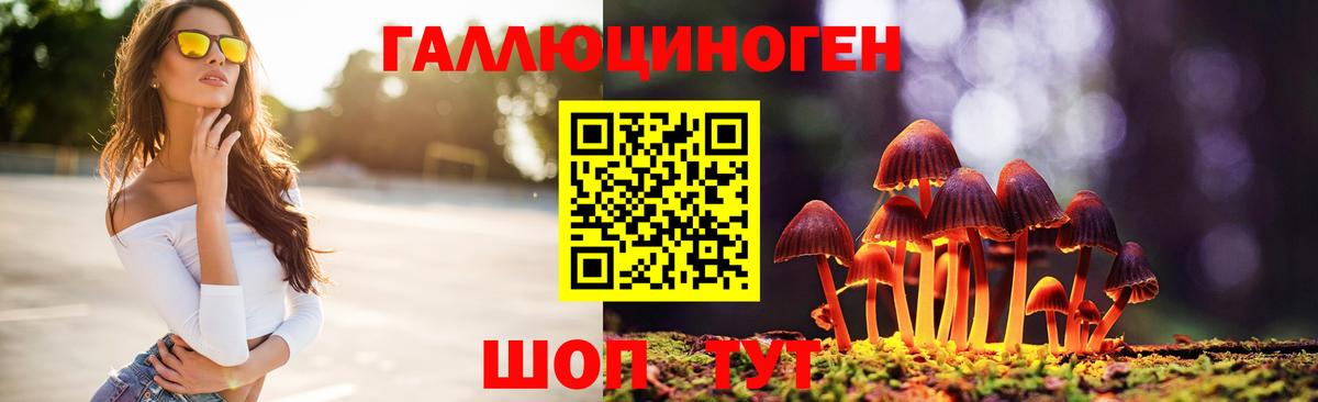 Прохладный  Галлюциногенные грибы прущие грибы  Вход с VPN 